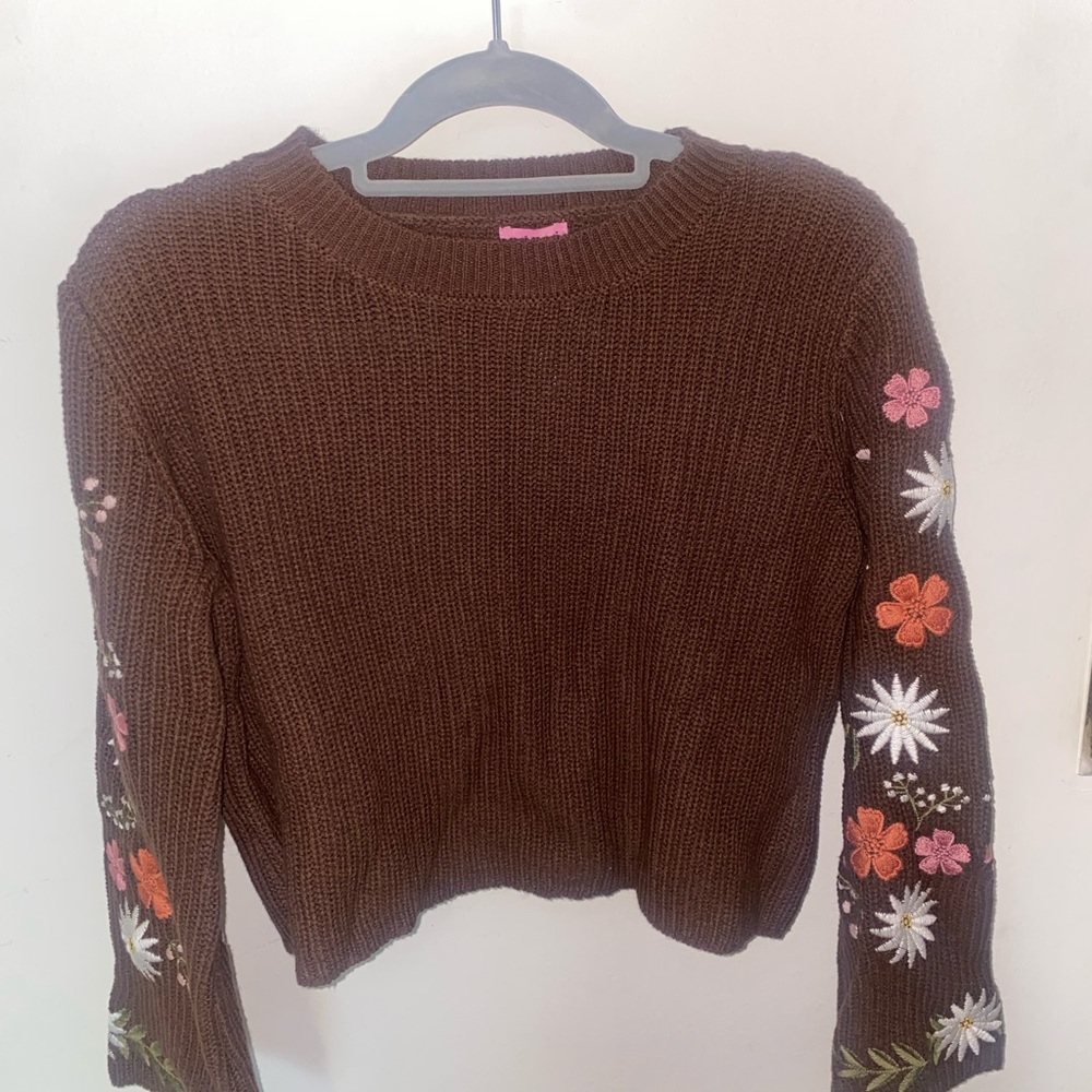 Francesca's Collections Brown Knit Sweater